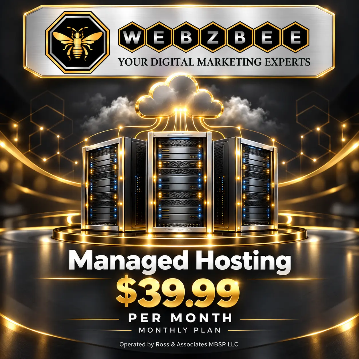 WEBZBEE Managed Hosting — $39.99 per month